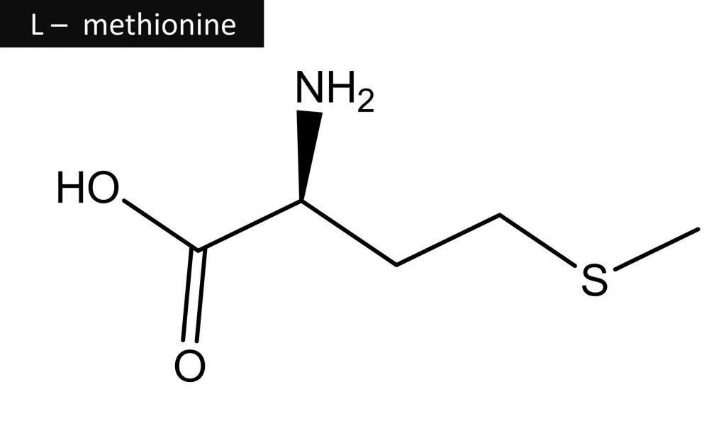 Methionine, an essential amino acid, is being studied by scientists for its potential effects on hair growth.