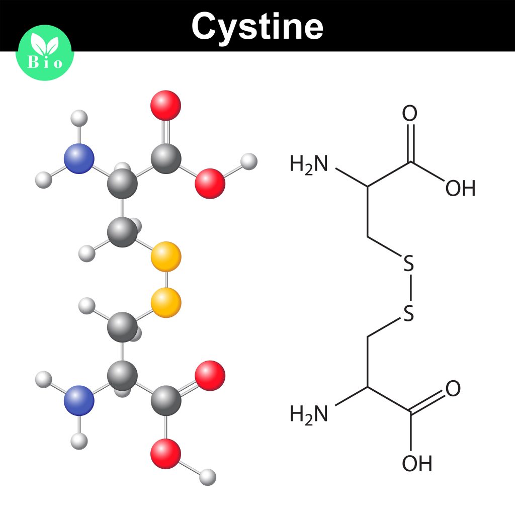 Cystine not to be confused with Cysteine is being studied separately by scientist for its direct effects on hair growth