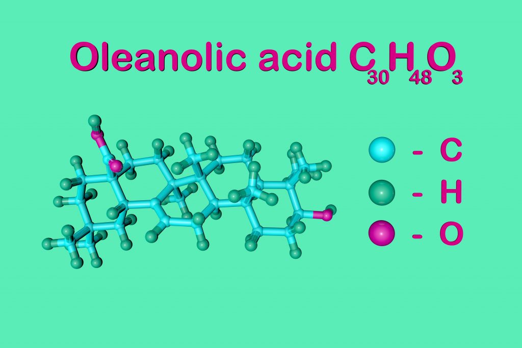 Oleanolic acid is a botanical extract and a promising phytochemical that is being studied for its role in hair loss and hair growth