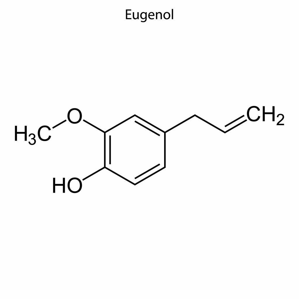 The role of eugenol in hair health has come under scrutiny by the scientific world