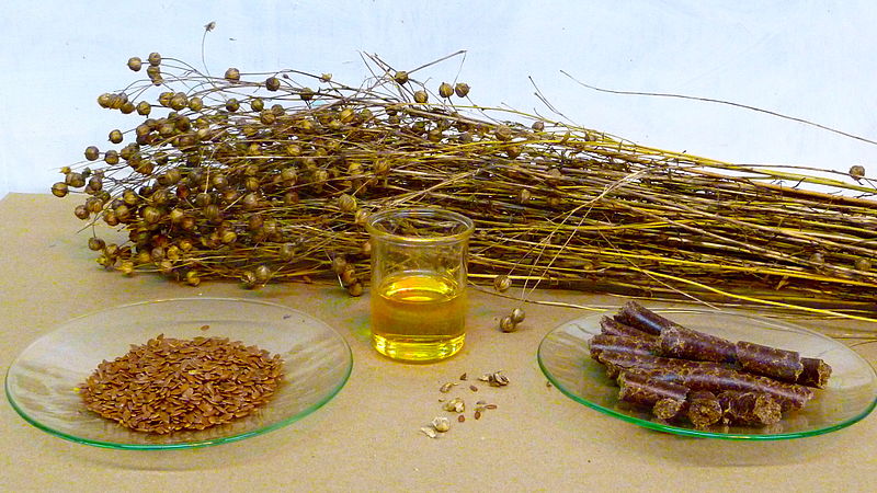 Flaxseed oil for hair growth may be effective due to its rich supply of phytochemical constituents