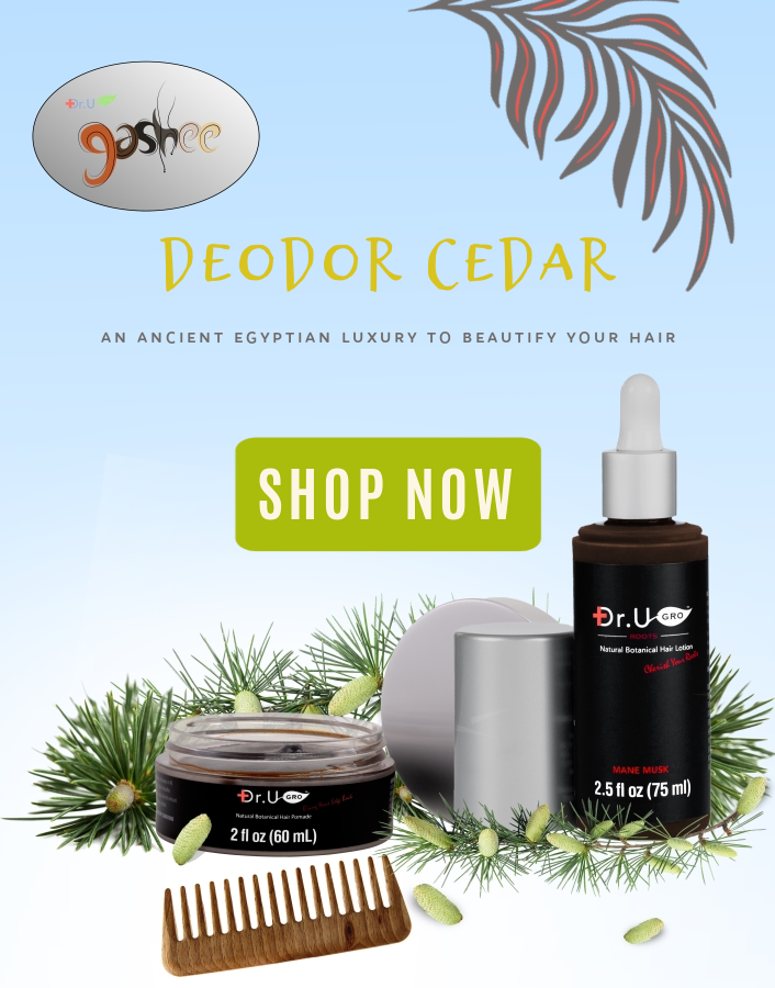 Deodor Cedar is an ingredient in our Main Musk hair pomade and lotion - Dr.UGro Gashee