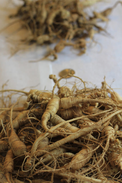 Both human and mouse hair follicles saw red ginseng hair benefits in some studies.