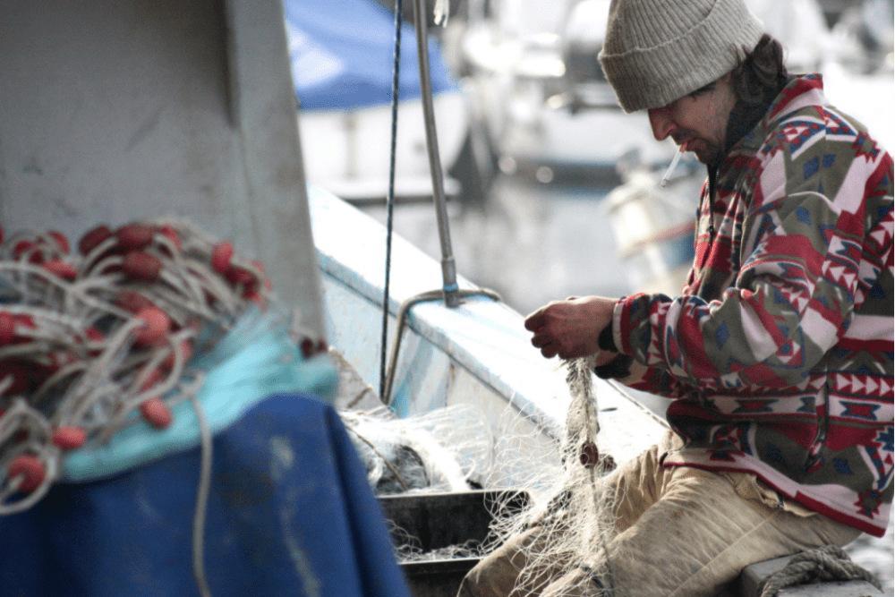 Collagen sourced from fish