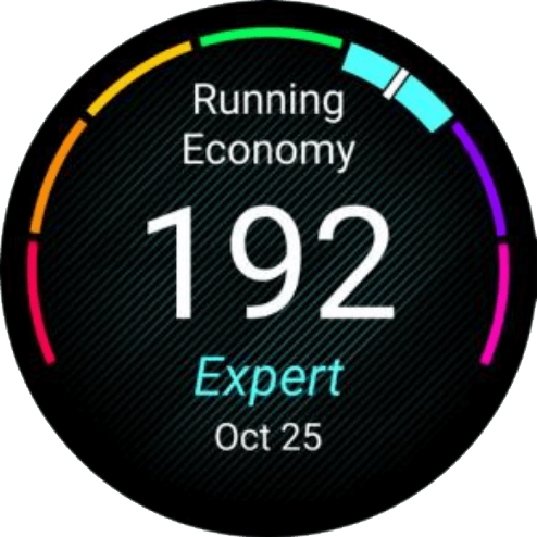 RUNNING ECONOMY