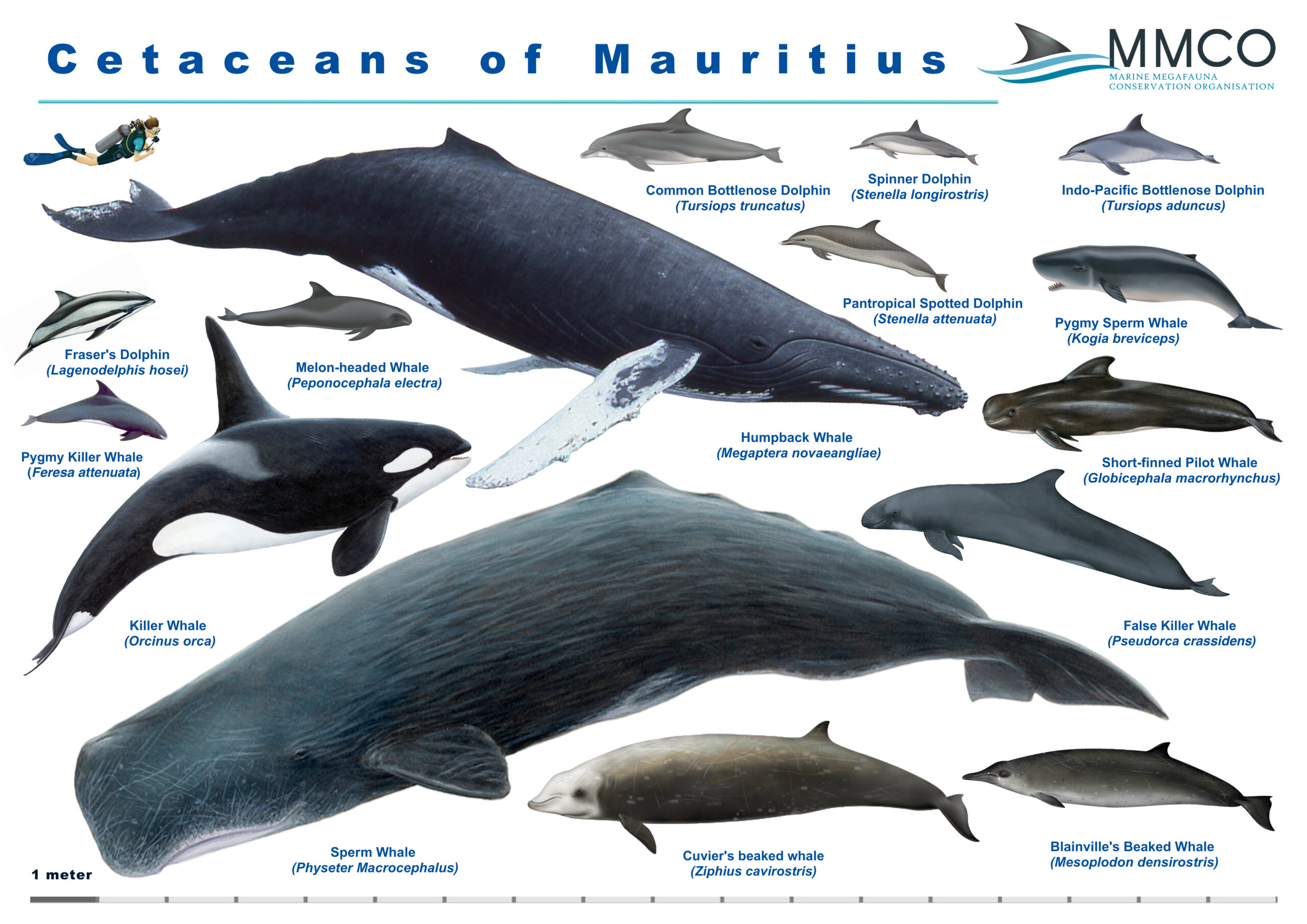 The big list of Mauritius