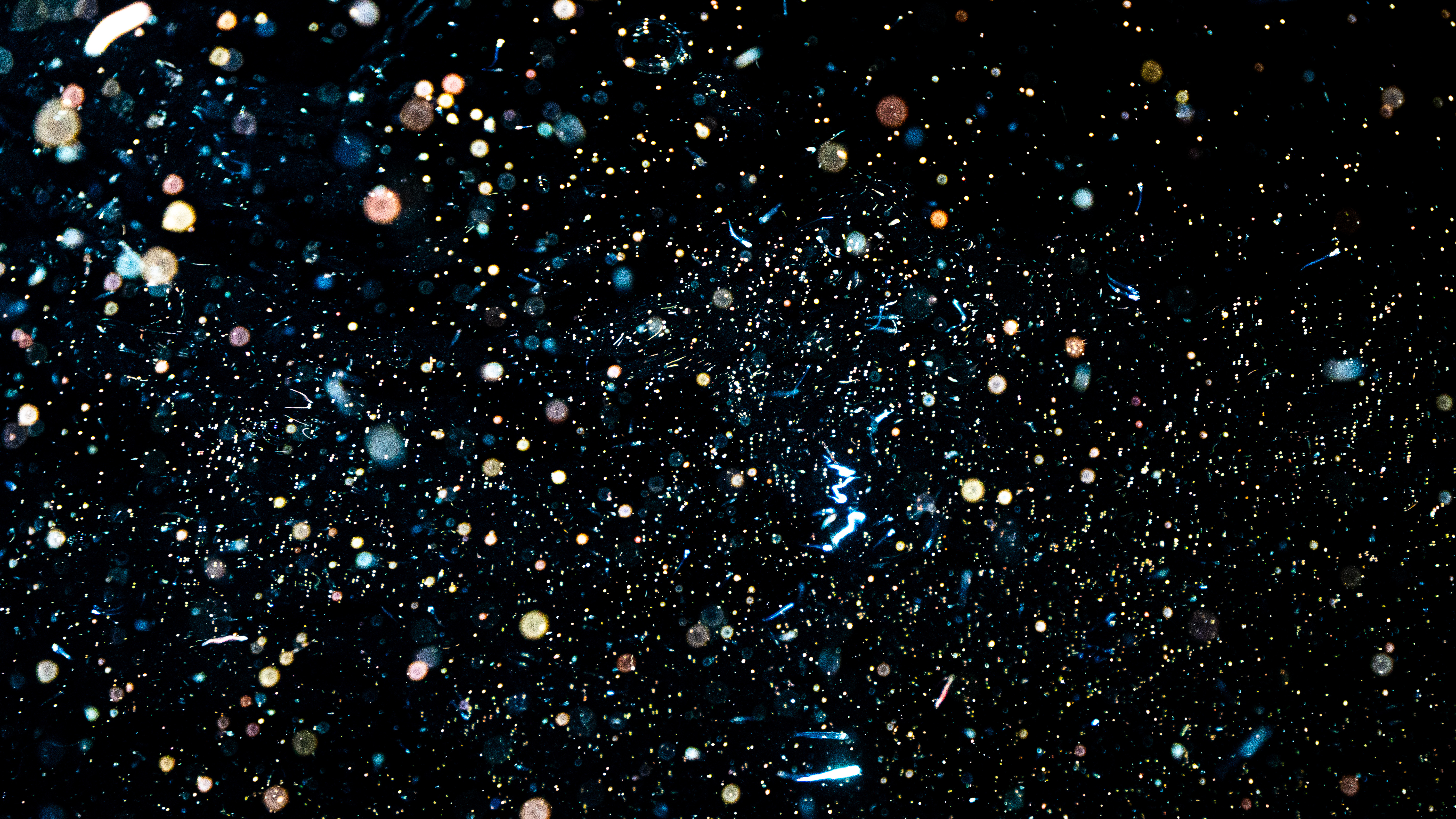 Coral larvae shinning through the ocean space