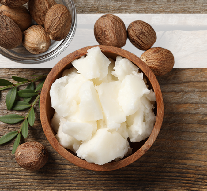 What Is Shea Butter?