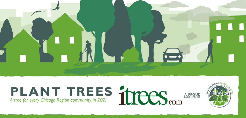 Chicago Region Trees Initiative: A Tree for Every Community in 2021