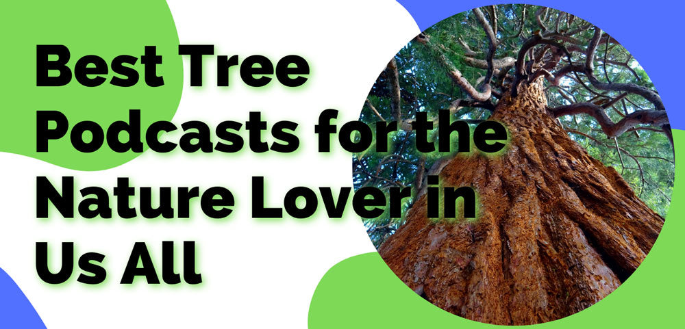 Best Tree Podcasts for the Nature Lover in Us All