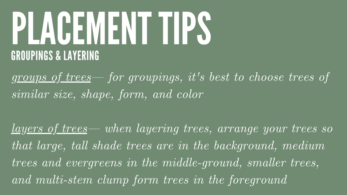 Placement Tips