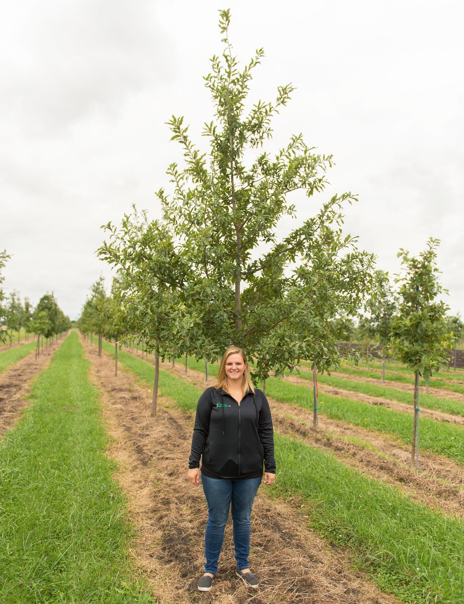 Marlee standing by Shingle Oak in Field