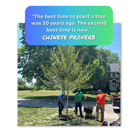 The Best Time to Plant Chinese Proverb Quote with image of tree planting