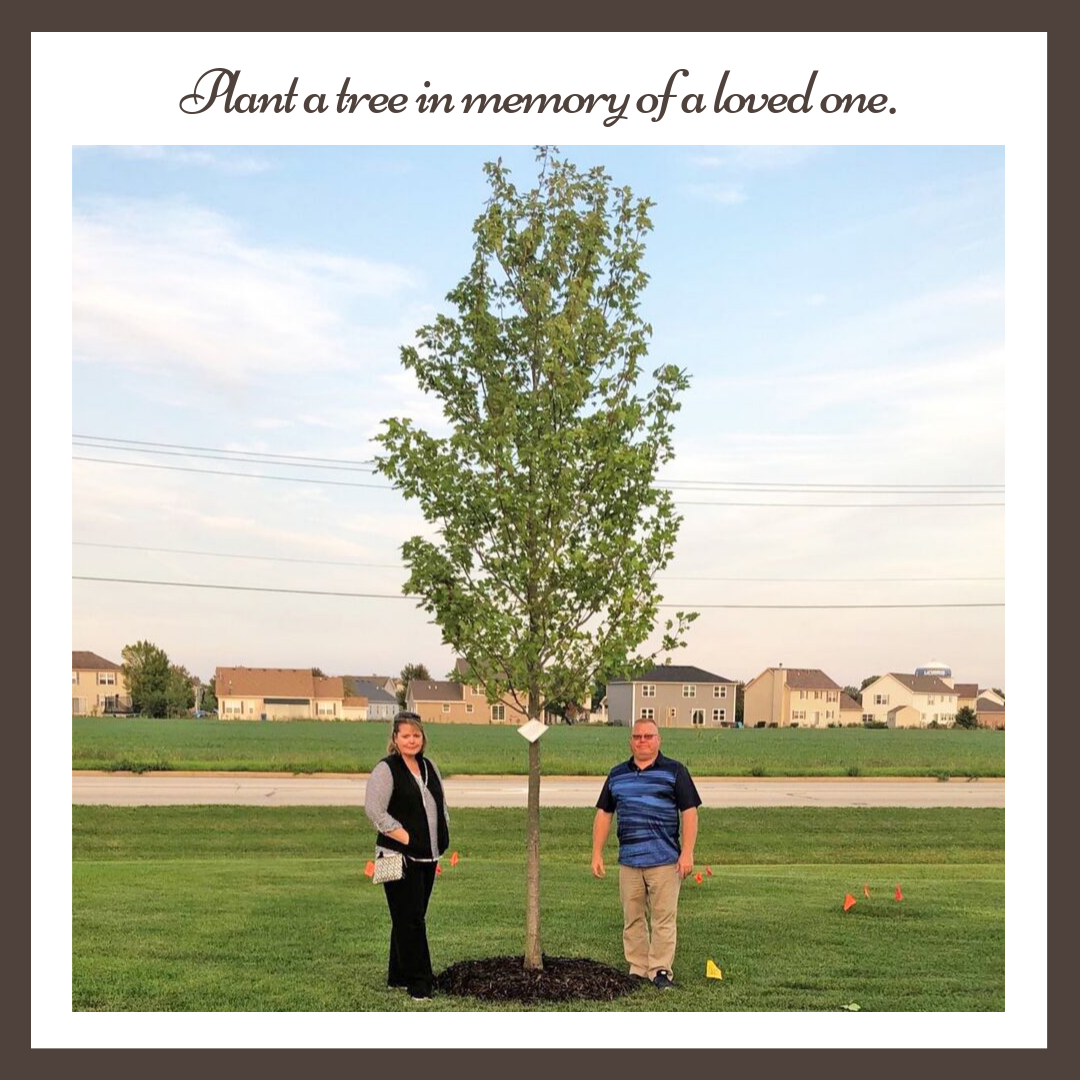 Tree Planting for a loved one