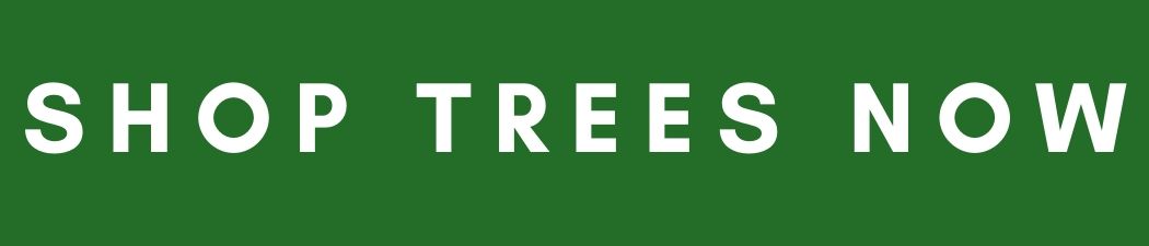 shop trees now button