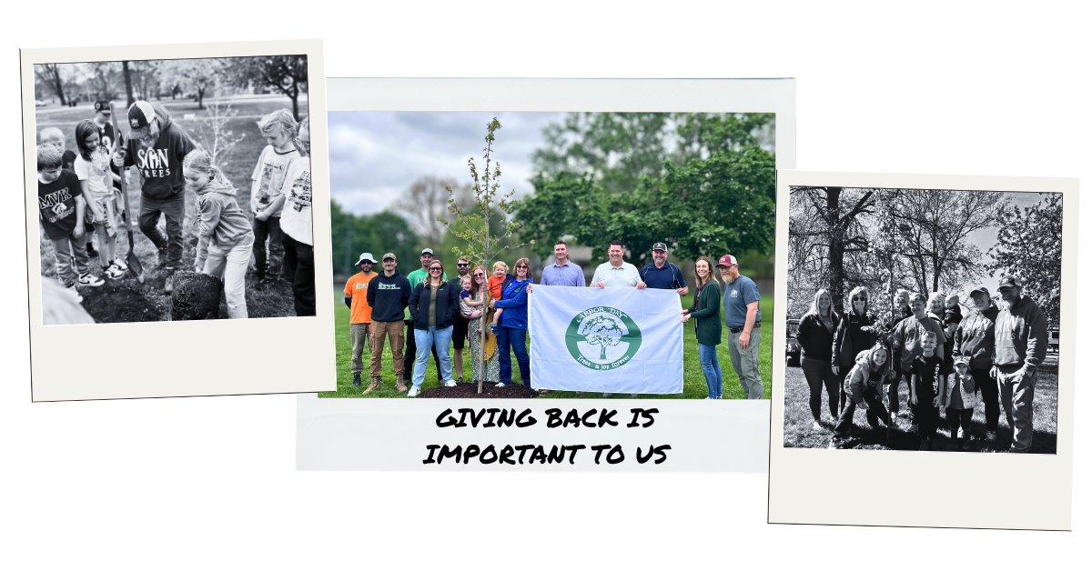 A collage of polaroid's of iTrees.com at various charitable planting events.