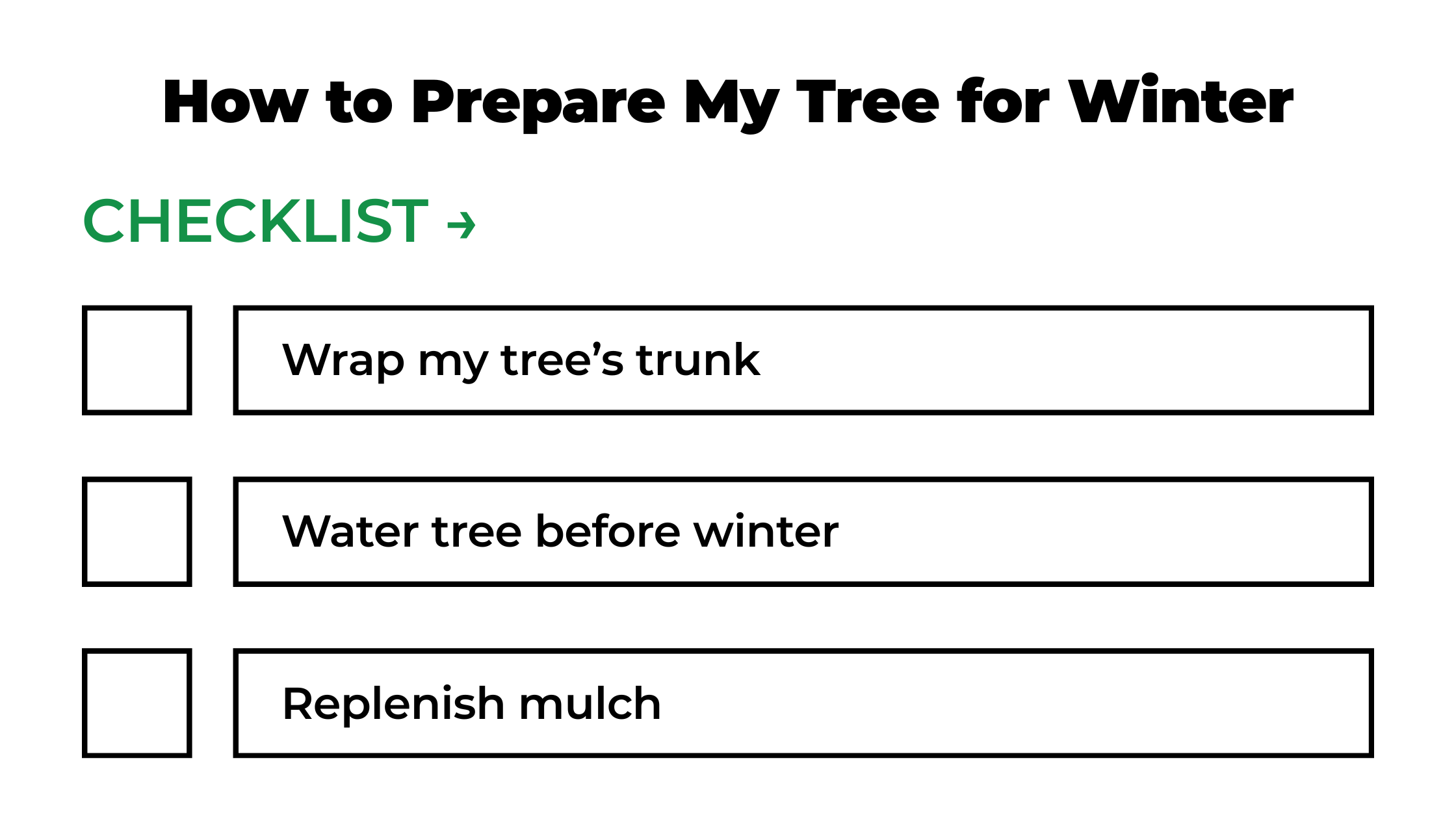 How to Prepare My tree for Winter Checklist