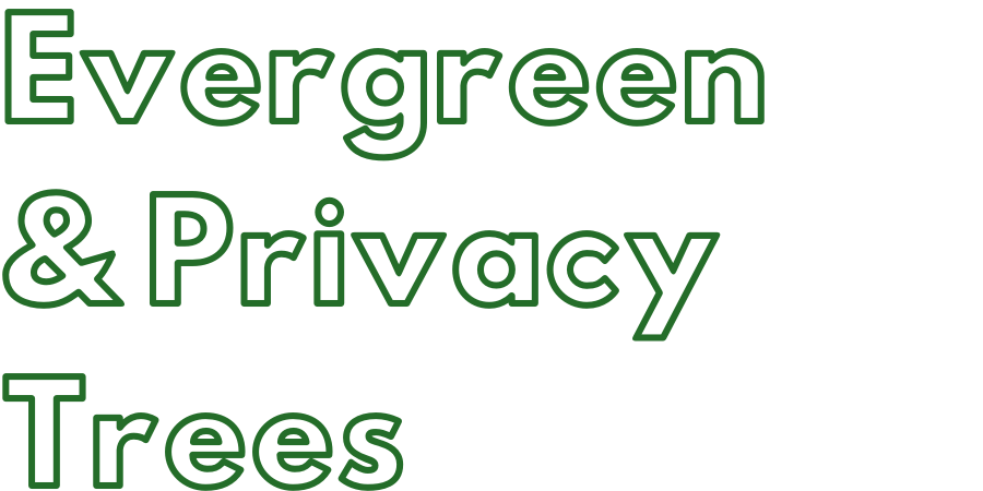 Evergreen and Privacy Trees