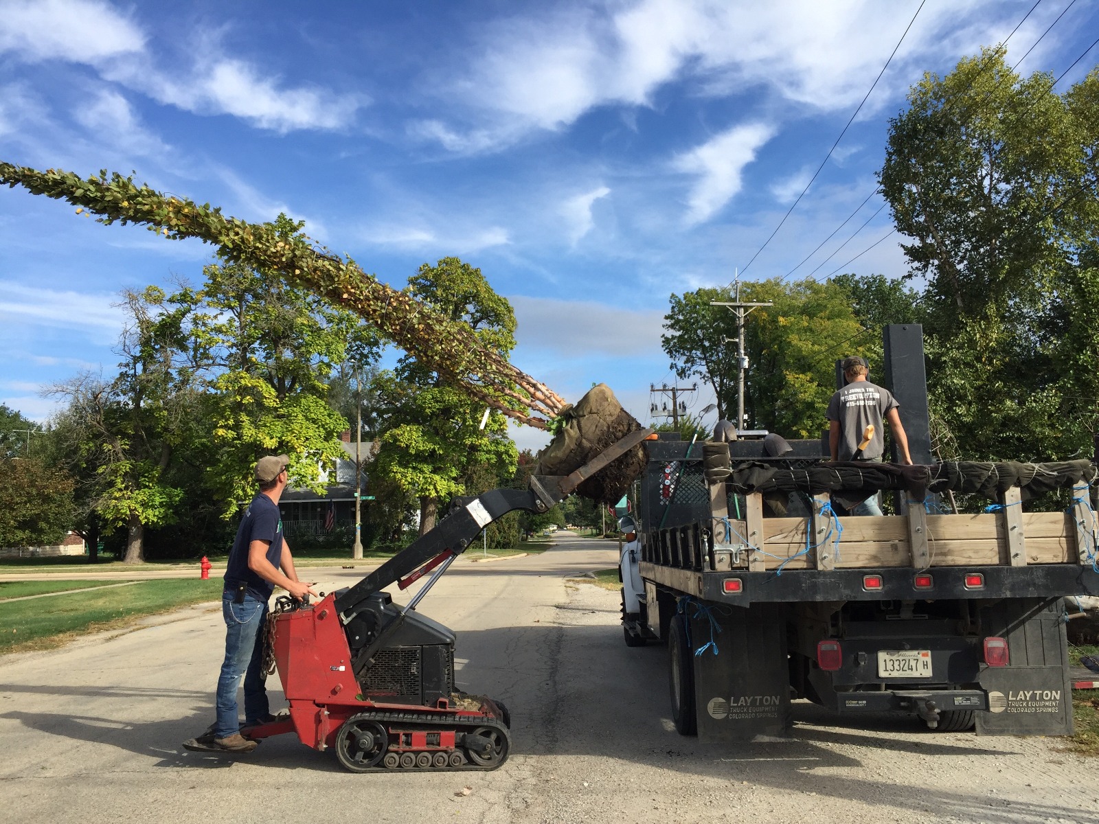 Unloading Trees