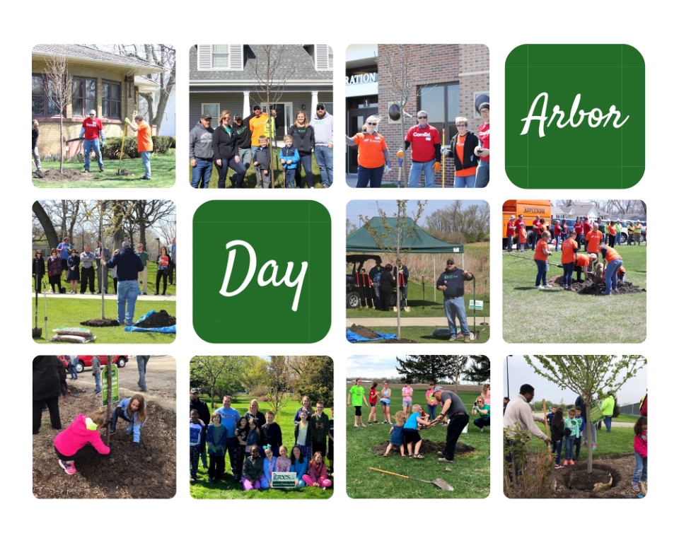 Arbor Day iTrees History