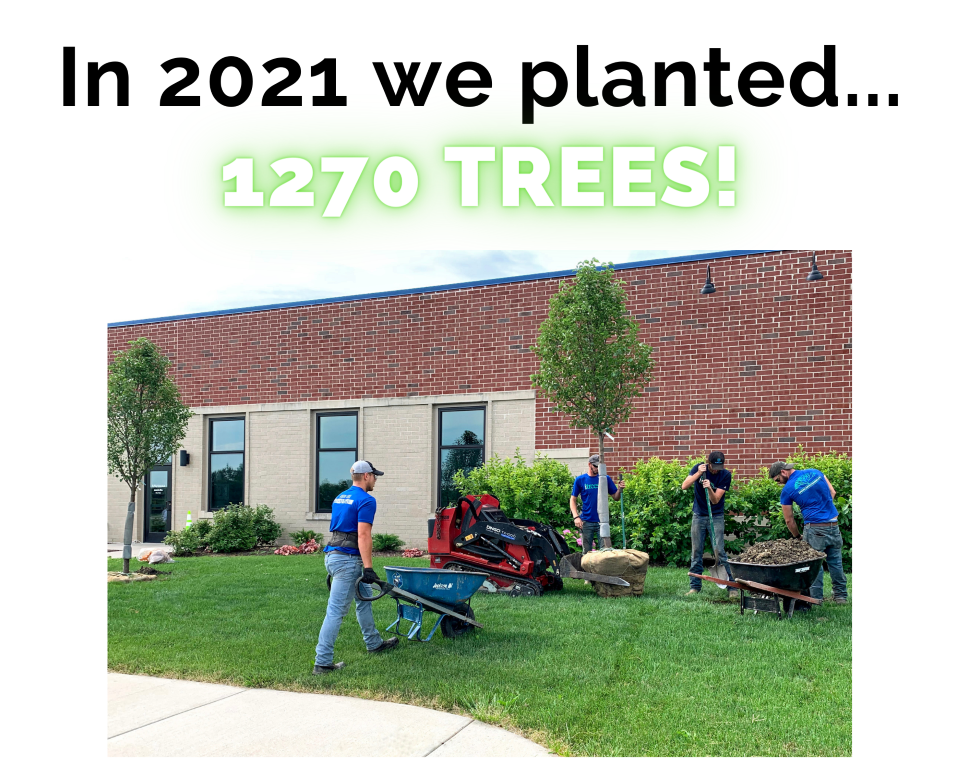 1270 trees planted