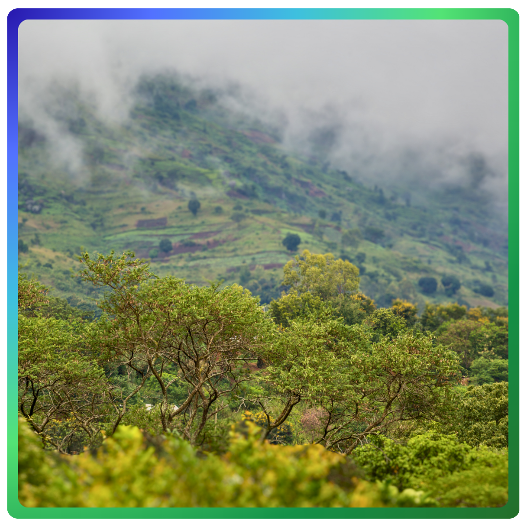 Tanzania Mountains, East Africa