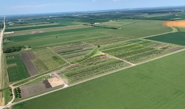 Tree Farm View from Above