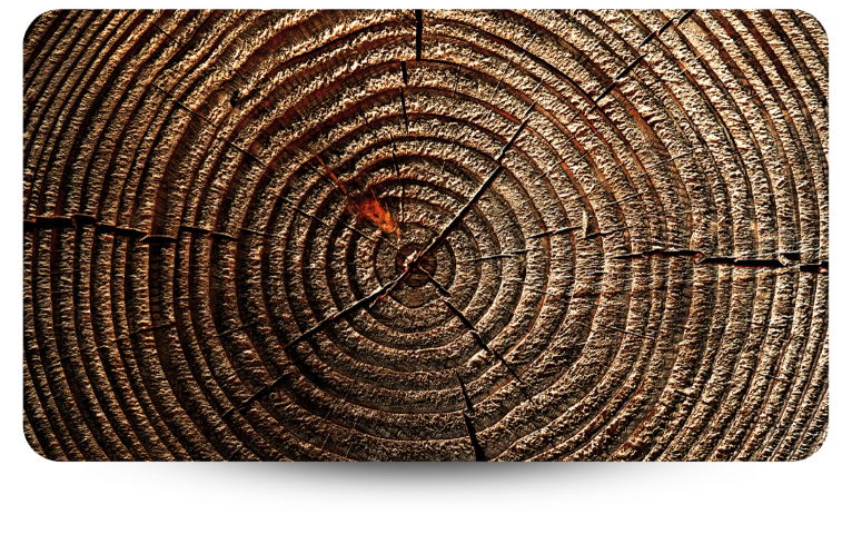 Closeup of light brown, dark brown tree rings and other markings withing the tree's rings