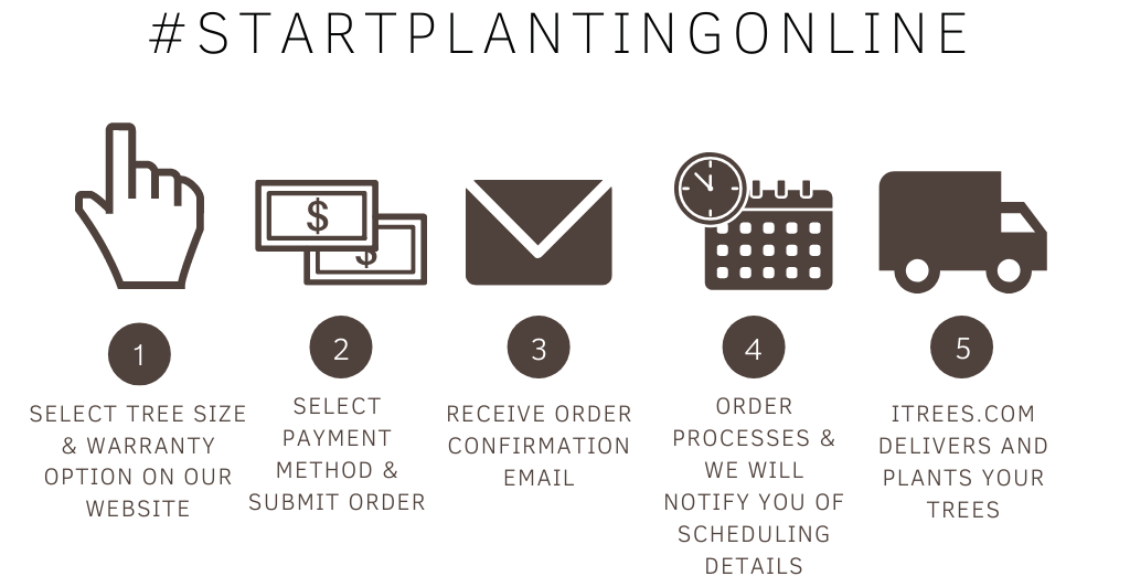 Start Planting Online Flow Chart