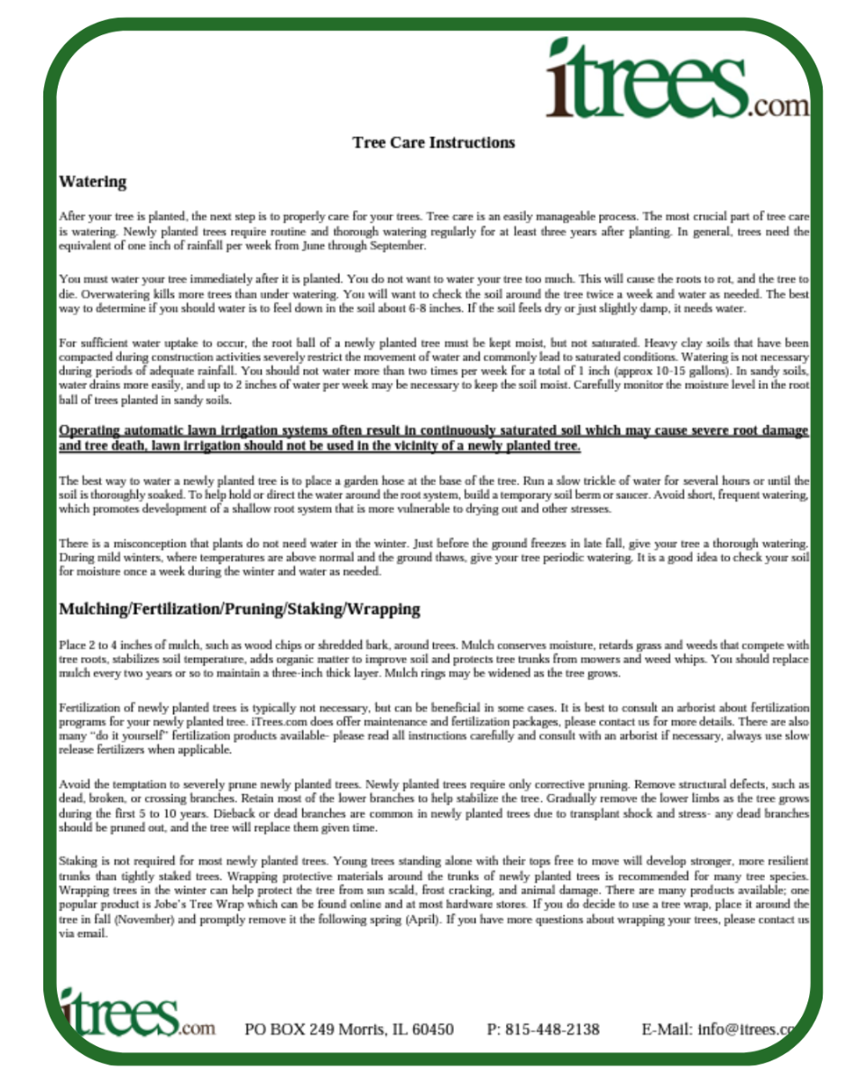 Thumbnail image of Tree Care Instructions PDF