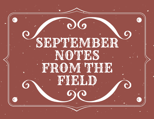 September Notes from the Field