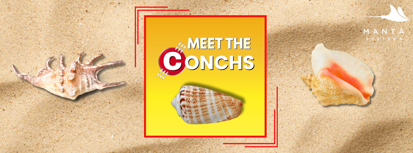 Conch_banner_.png