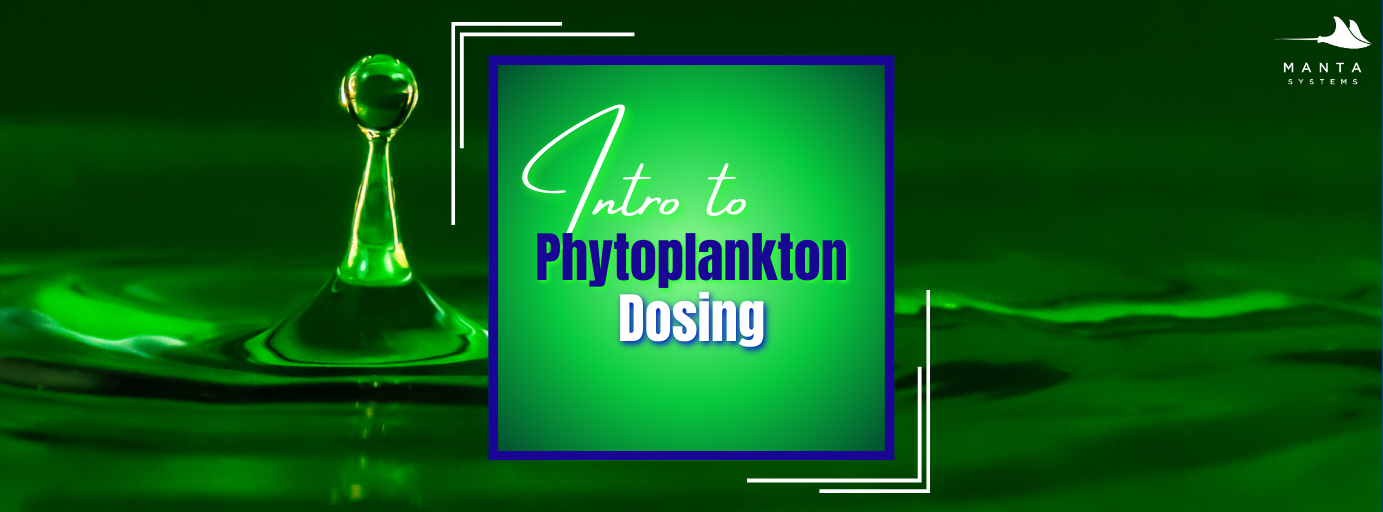 Dosing_Phyto_banner_2.png