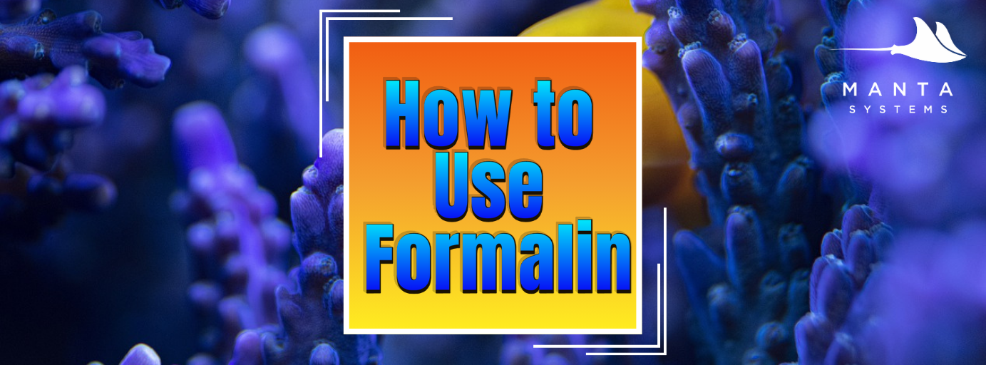 Formulin_banner.png