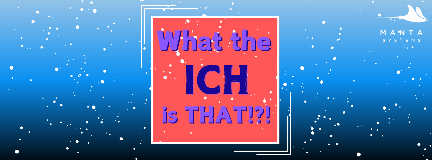 Ich_Banner.png