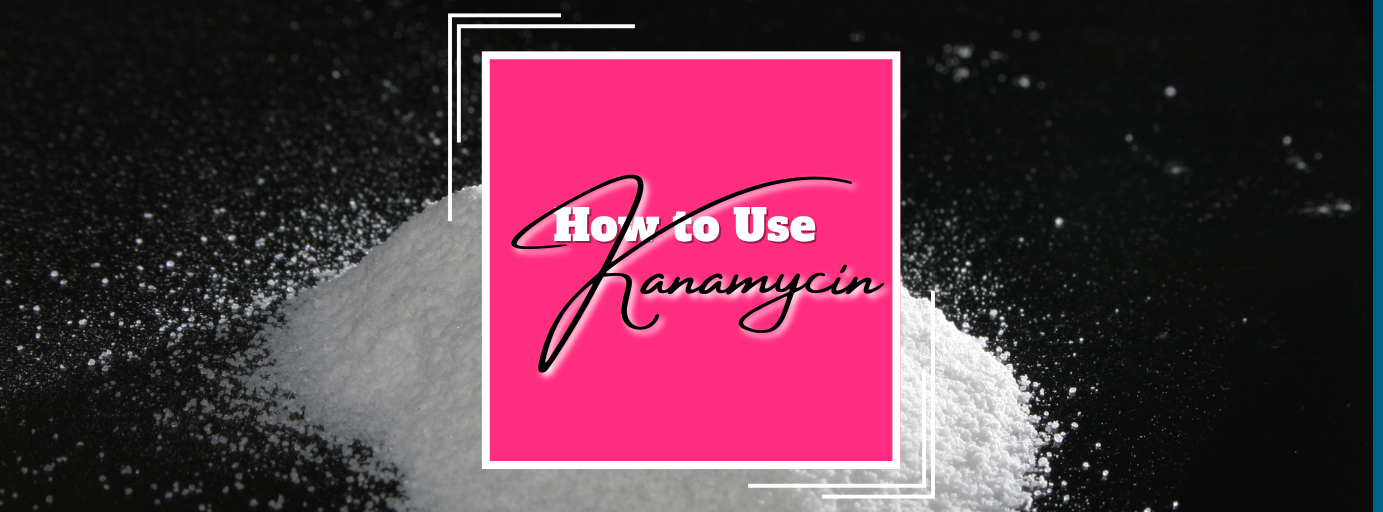 Kanamycin_banner.png