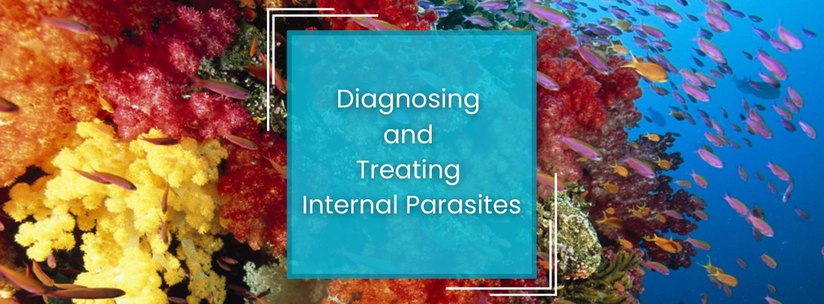 Parasites.png