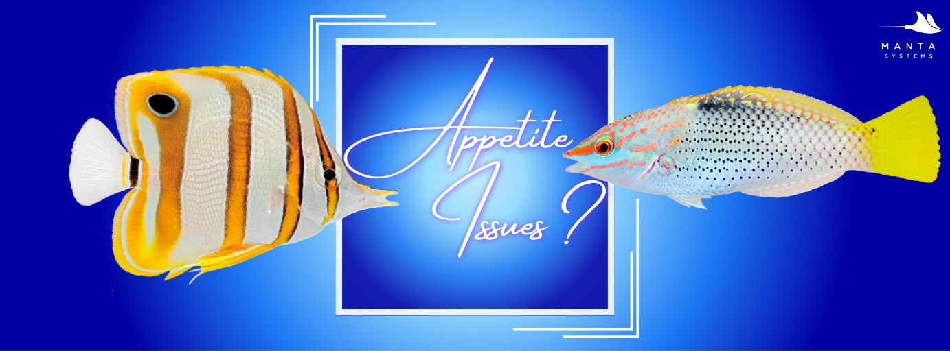 Fish appetite article banner
