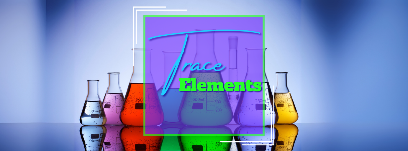 trace_banner.png
