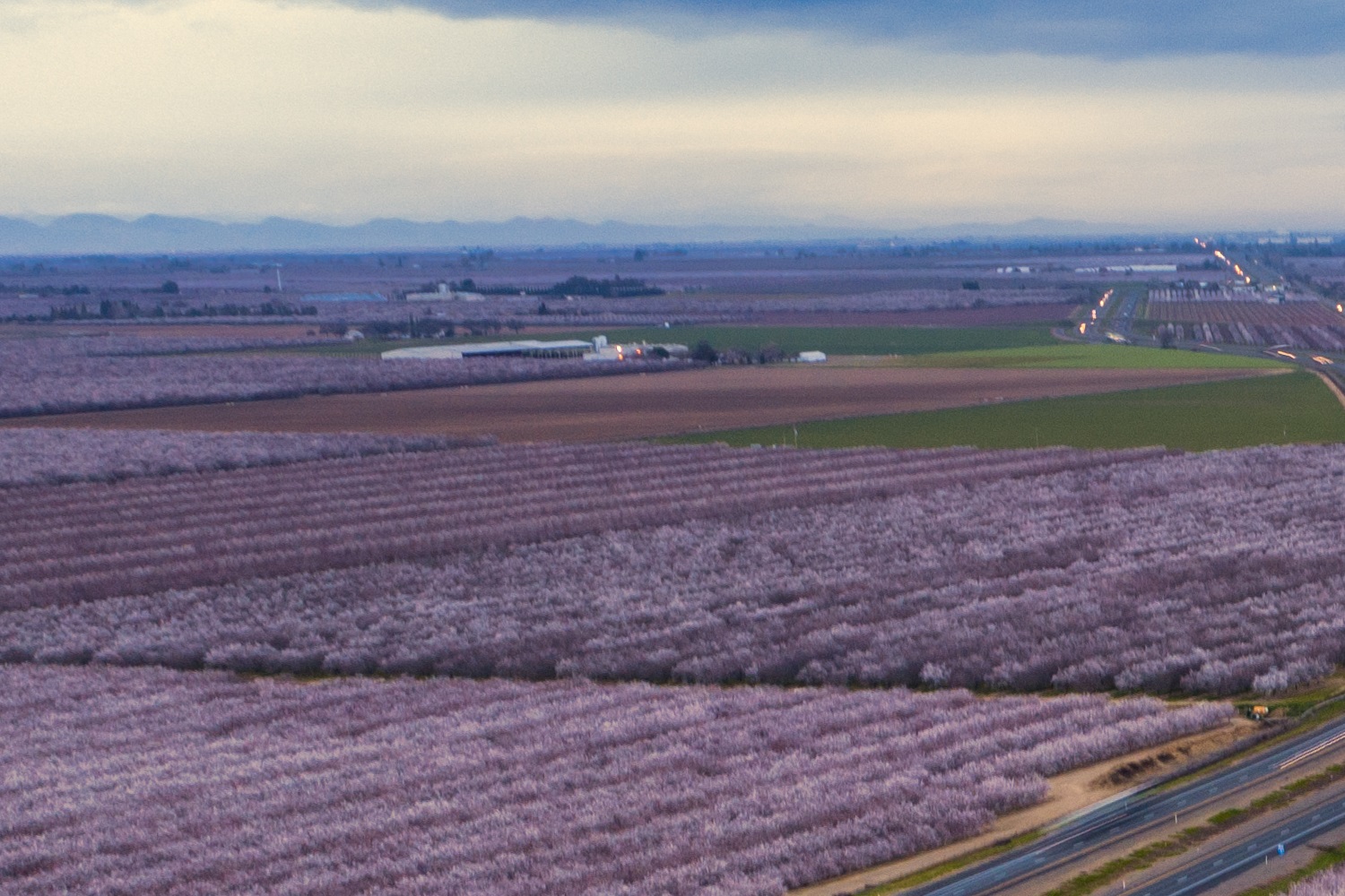 Arial view of modern almond Ranch