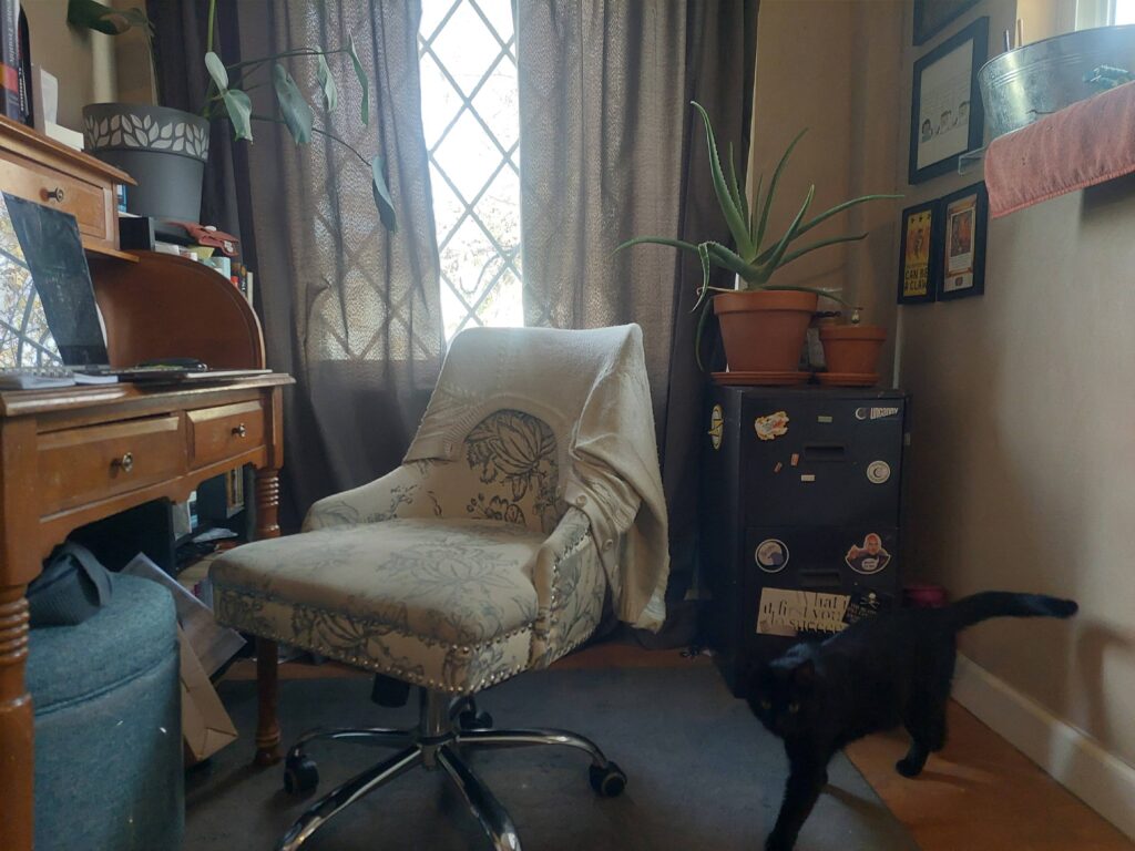 A black cat standing next to a chair in a home office.