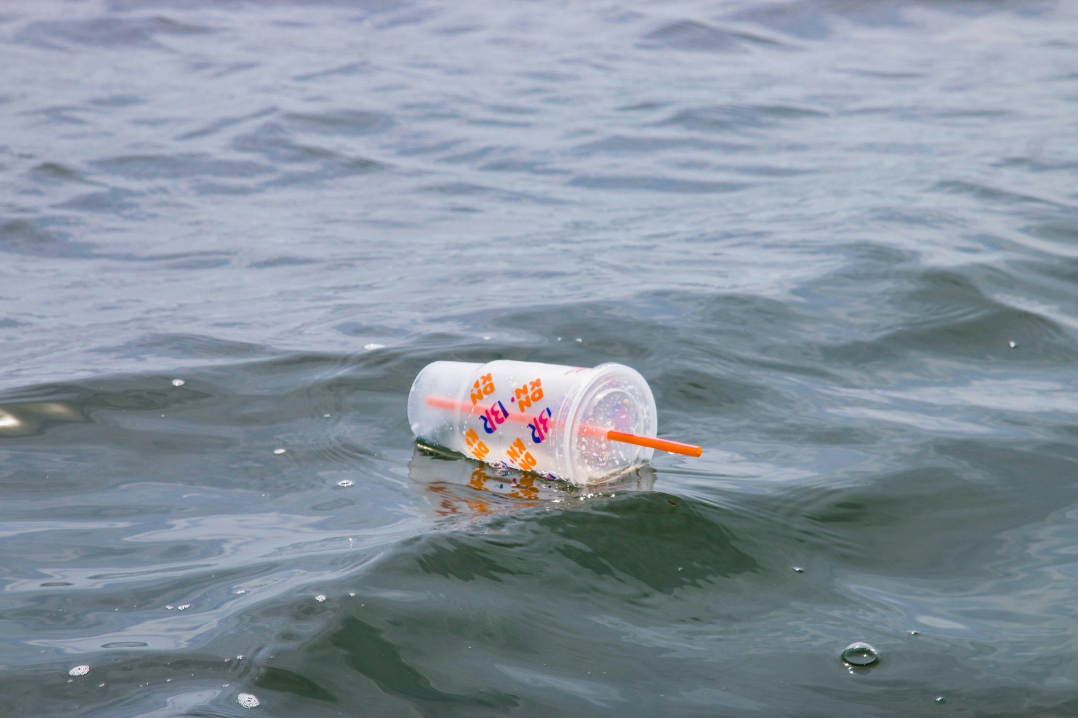 Plásticos contaminando las aguas.  Foto: @wildlife_by_yuri 🤙


