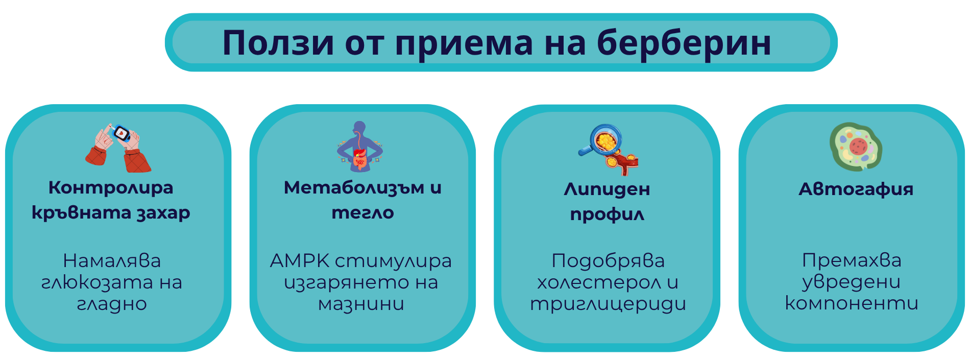 Берберин ползи