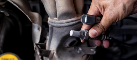 Oxygen Sensors