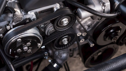 Serpentine Belt