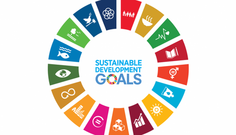 SDG wheel