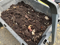 Beautiful Compost Mulch in our Gorilla Cart