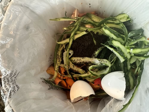 Kitchen Compost Scraps