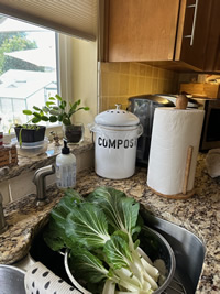 Our Kitchen Countertop Composting Bucket