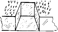 Pallet Root Cellar Hole